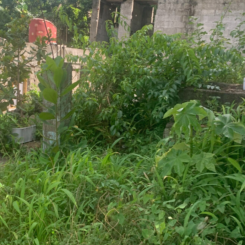 Land For Sale In La Clery