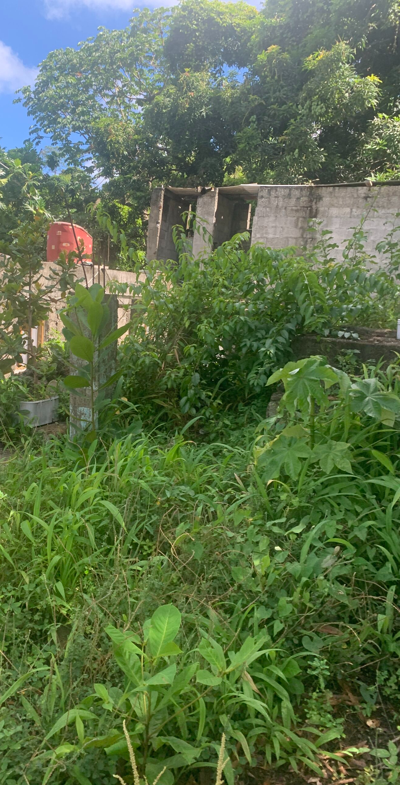 Land For Sale In La Clery