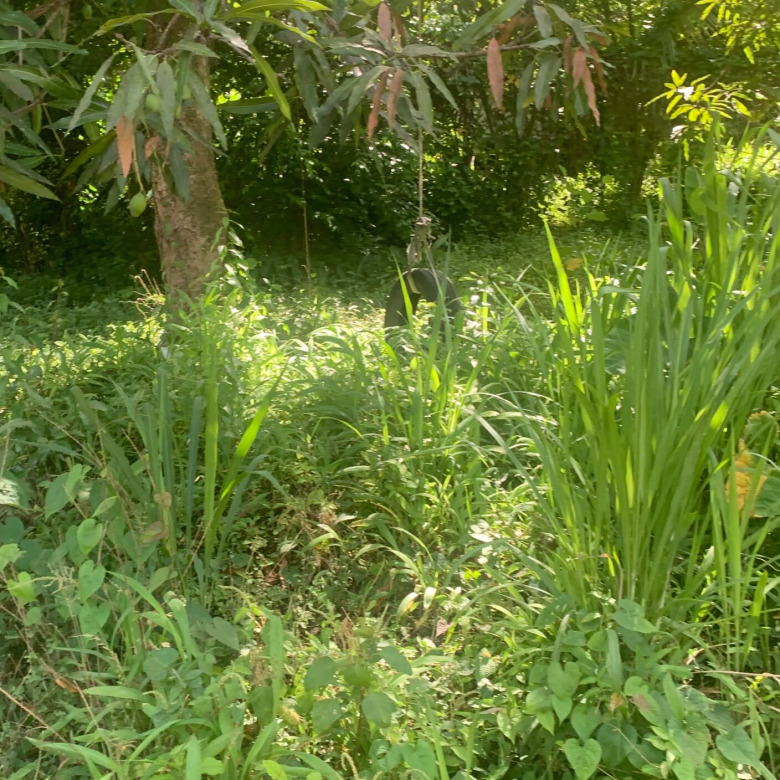 Land For Sale In La Clery