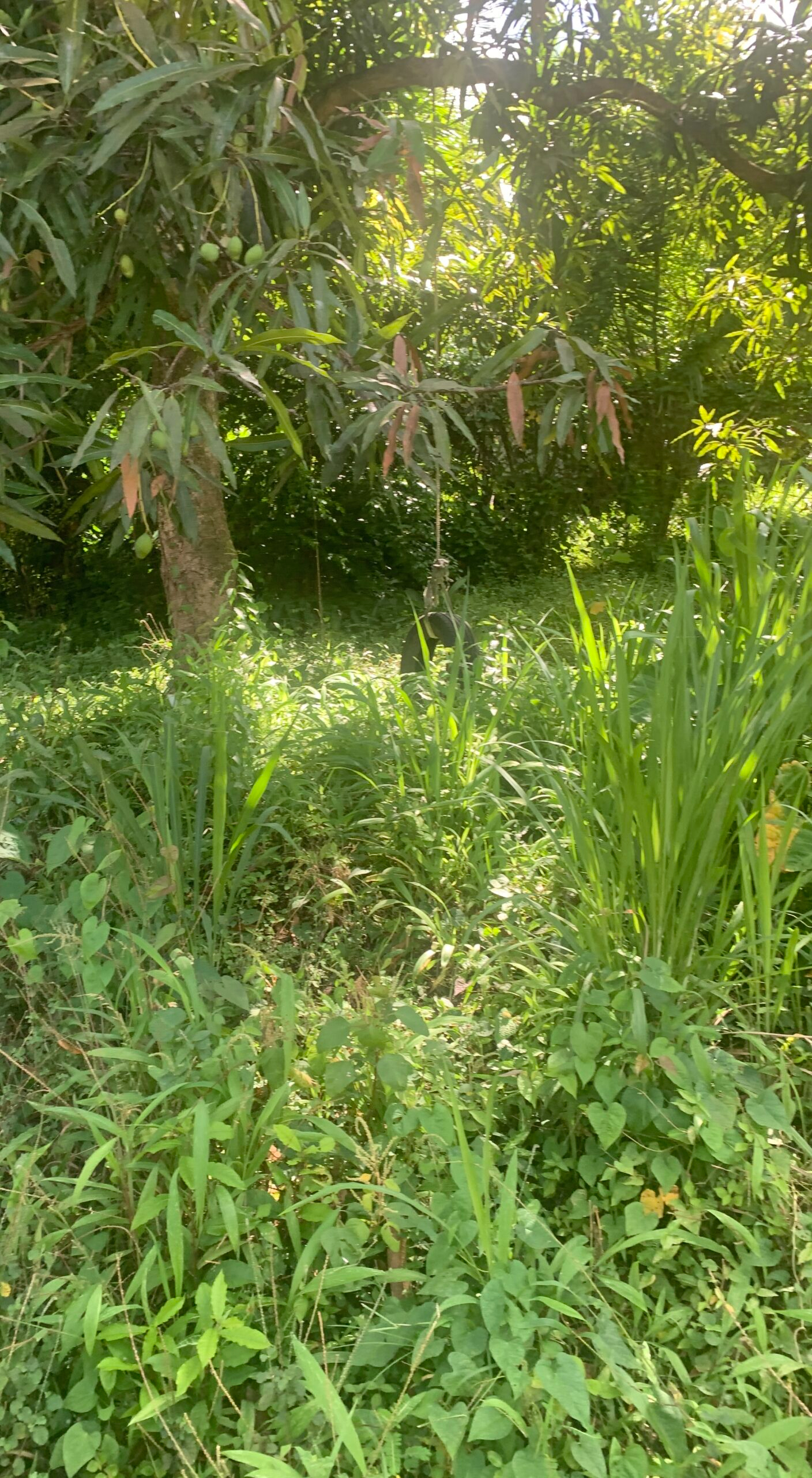 Land For Sale In La Clery