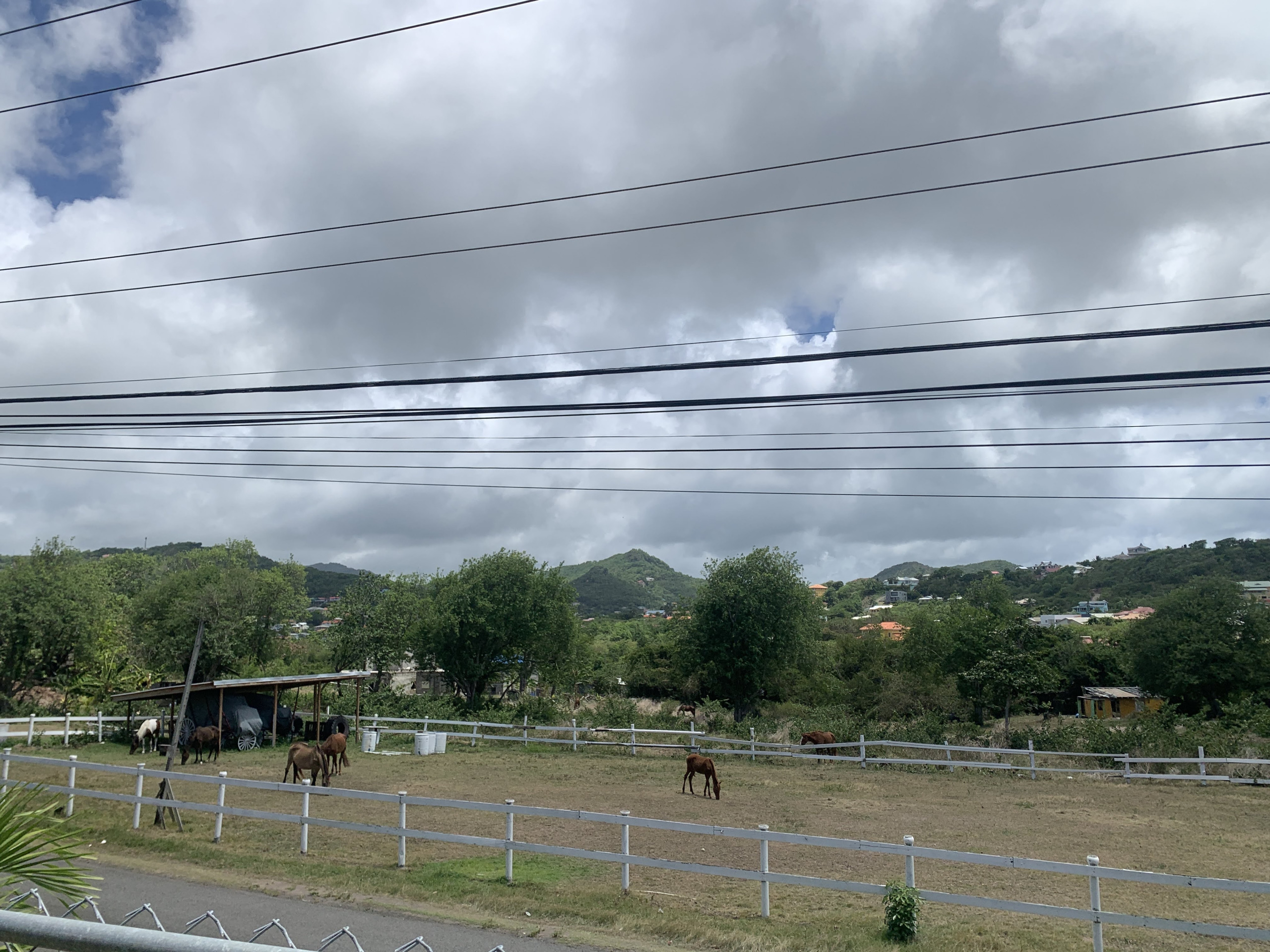 st lucia real estate - Three Bedroom House For sale in Beausejour horses