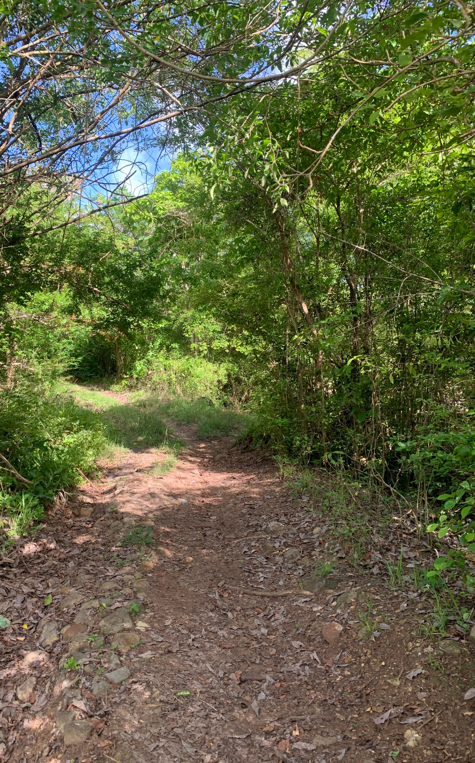 IMG_5253-scaled Land For Sale In Praslin