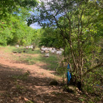 Land For Sale In Praslin st lucia