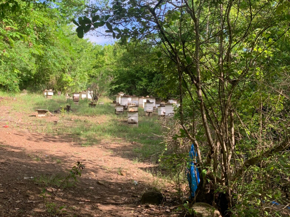 Land For Sale In Praslin st lucia