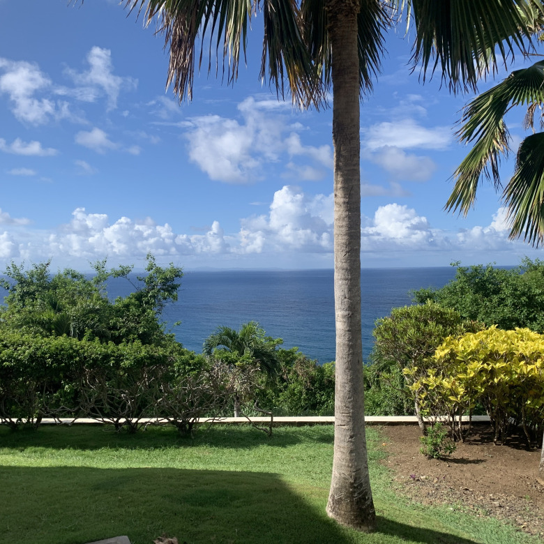 3 Bed Luxury Villa In Cap Estate