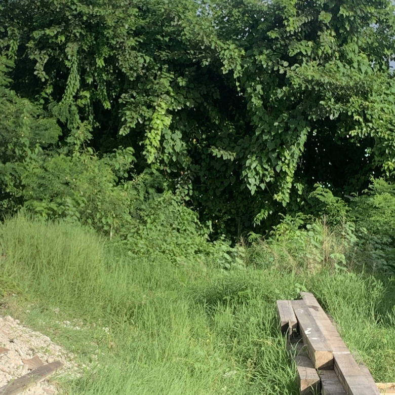 House And Land For Sale in Cas en Bas
