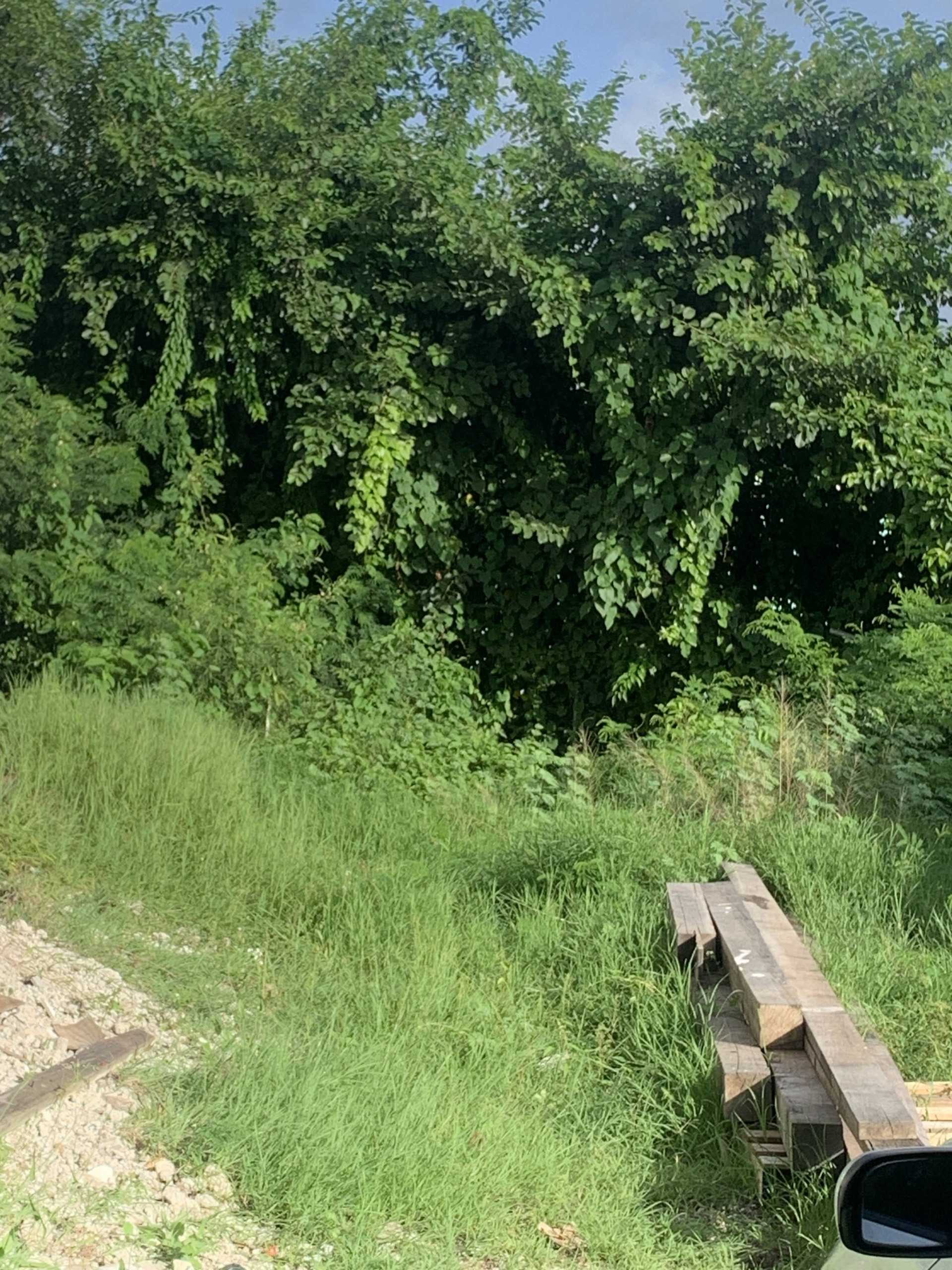 House And Land For Sale in Cas en Bas