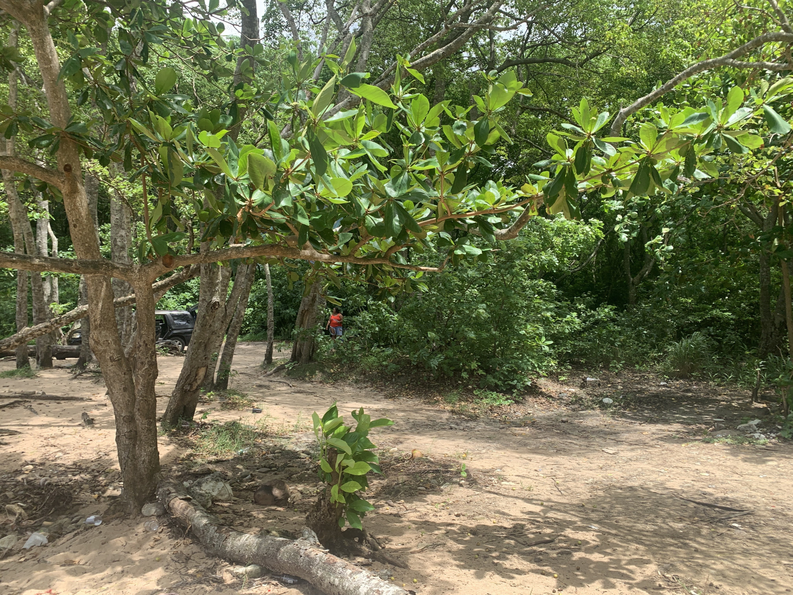 Beachfront Property For Sale In St. Lucia real estate lady