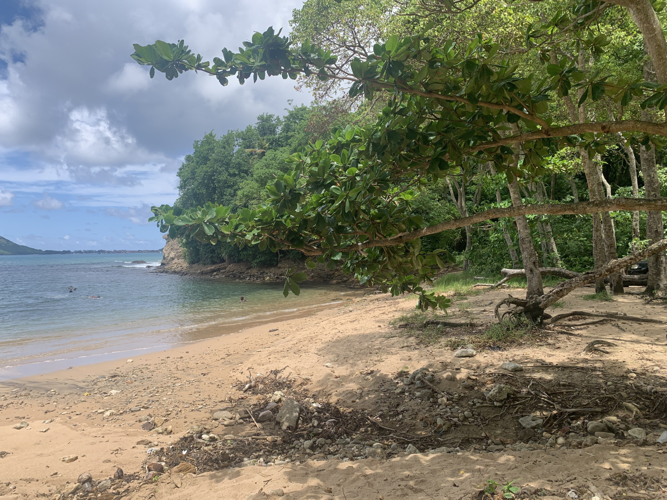 Beachfront Property For Sale In St. Lucia real estate plams