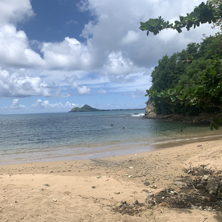 Beachfront Property For Sale In St. Lucia real estate mountain edge