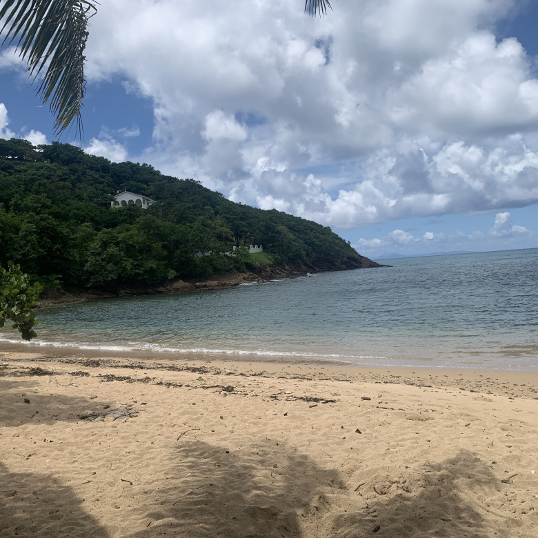 Beachfront Property For Sale In St. Lucia real estate arman tree