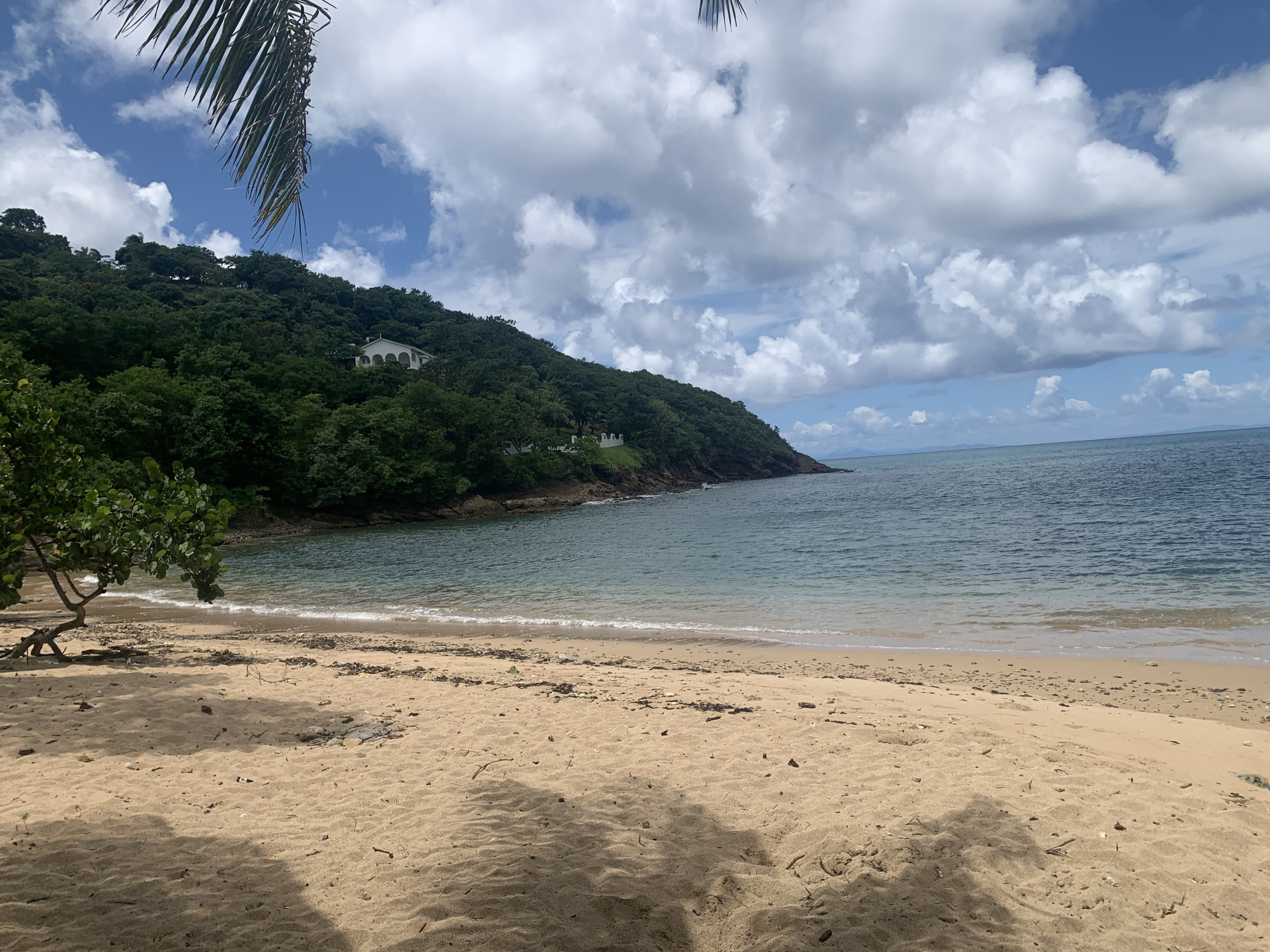 Beachfront Property For Sale In St. Lucia real estate arman tree