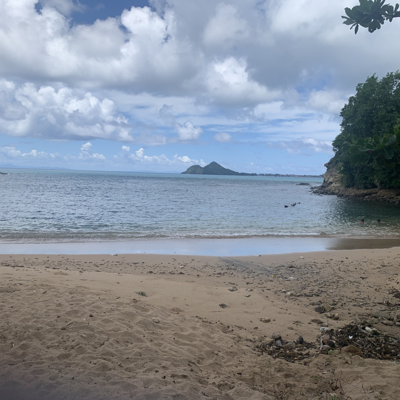 Beachfront Property For Sale In St. Lucia real estate rat island