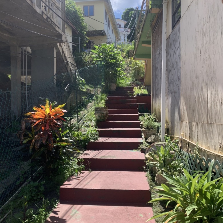 Guesthouse And Commercial Space For Sale in st lucia real estate entrance steps