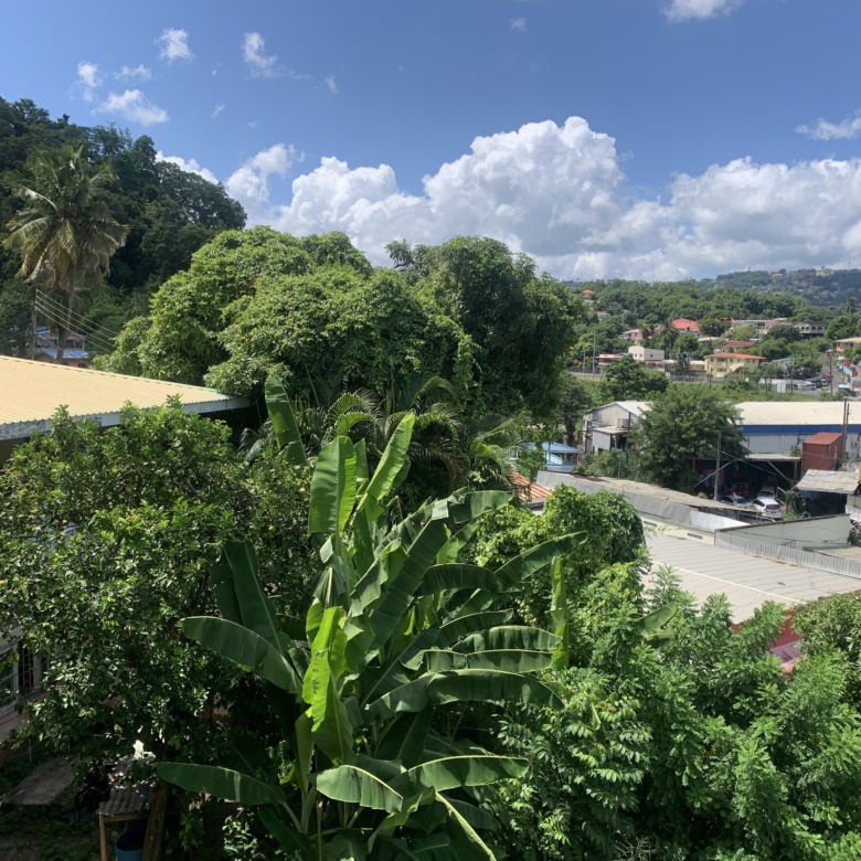 Guesthouse And Commercial Space For Sale in st lucia real estate banana tree