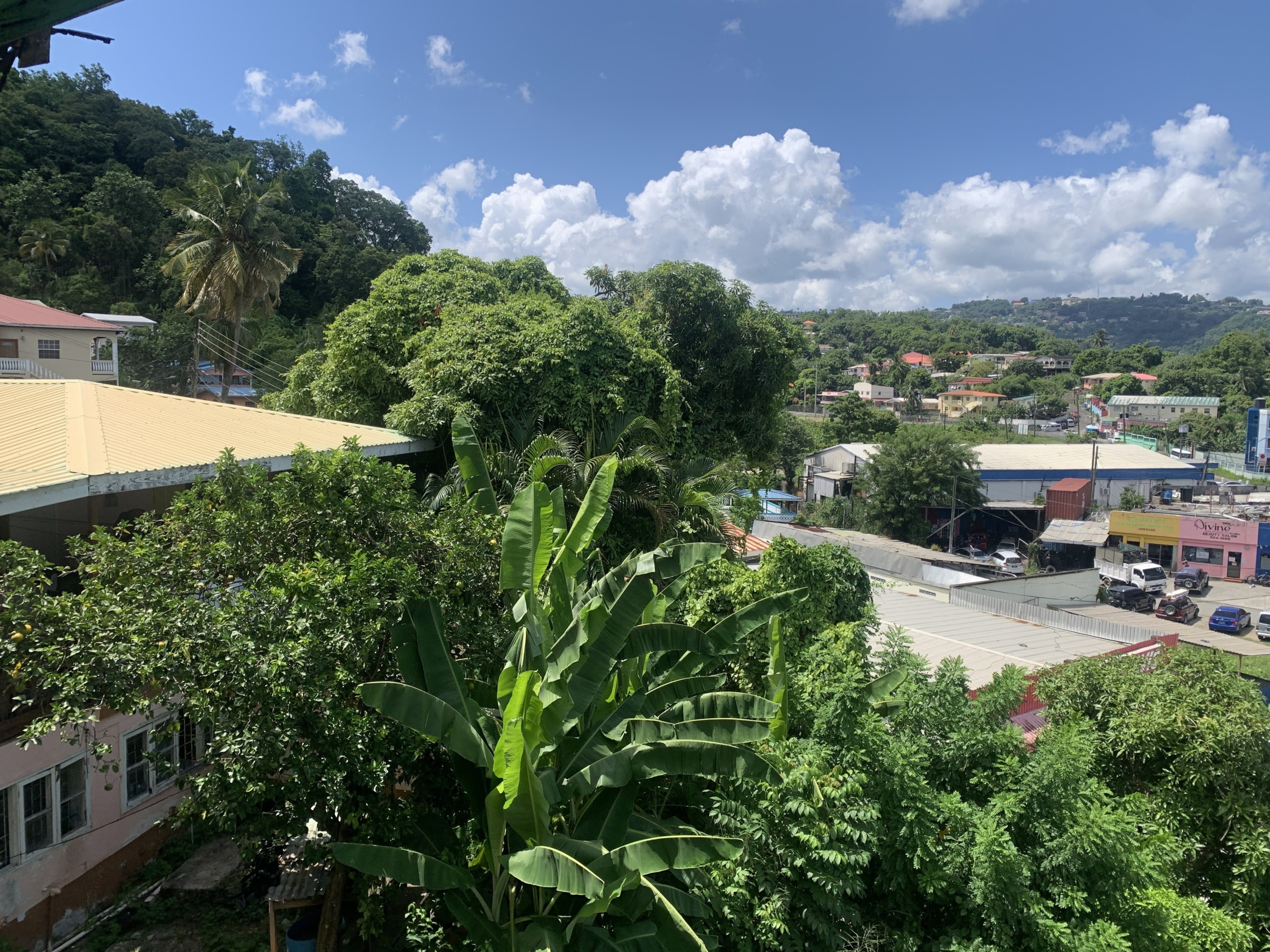 Guesthouse And Commercial Space For Sale in st lucia real estate banana tree