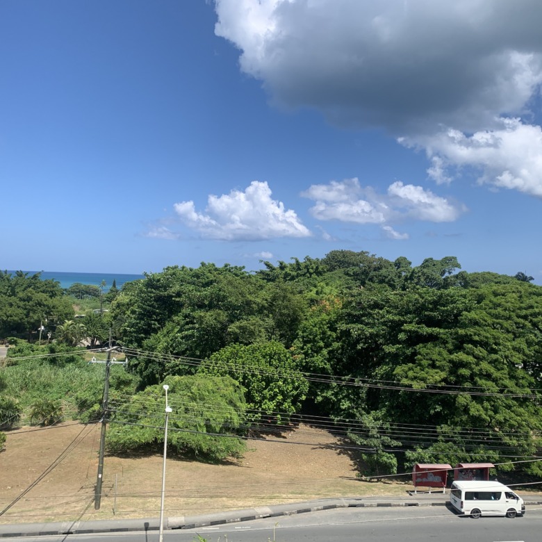 Guesthouse And Commercial Space For Sale in st lucia real estate view