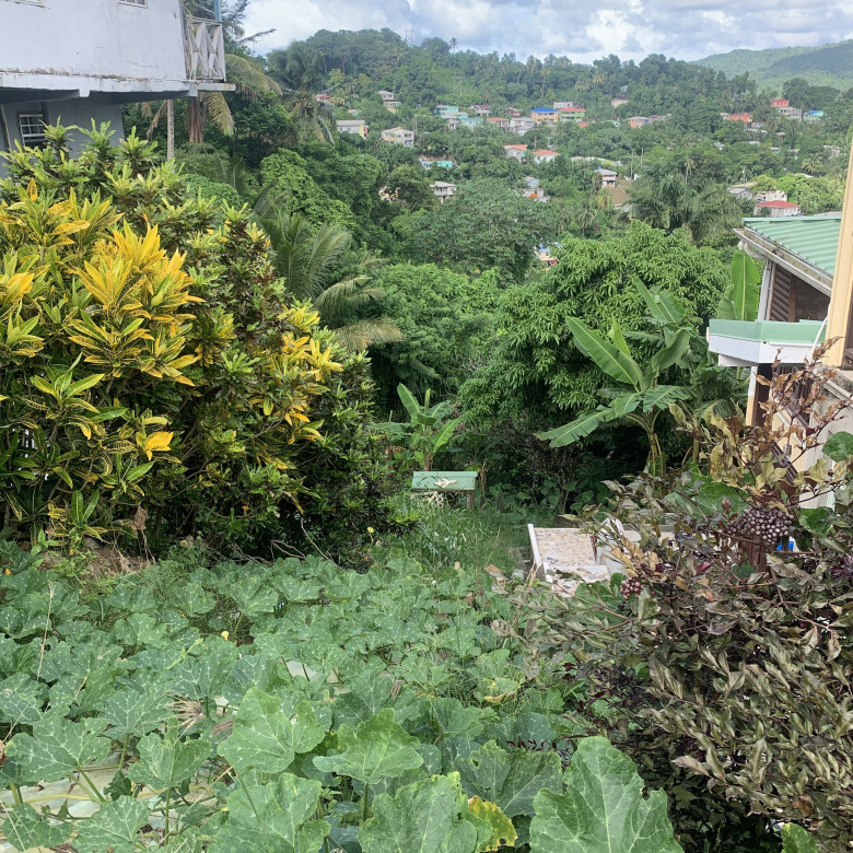 Property For Sale In Bocage