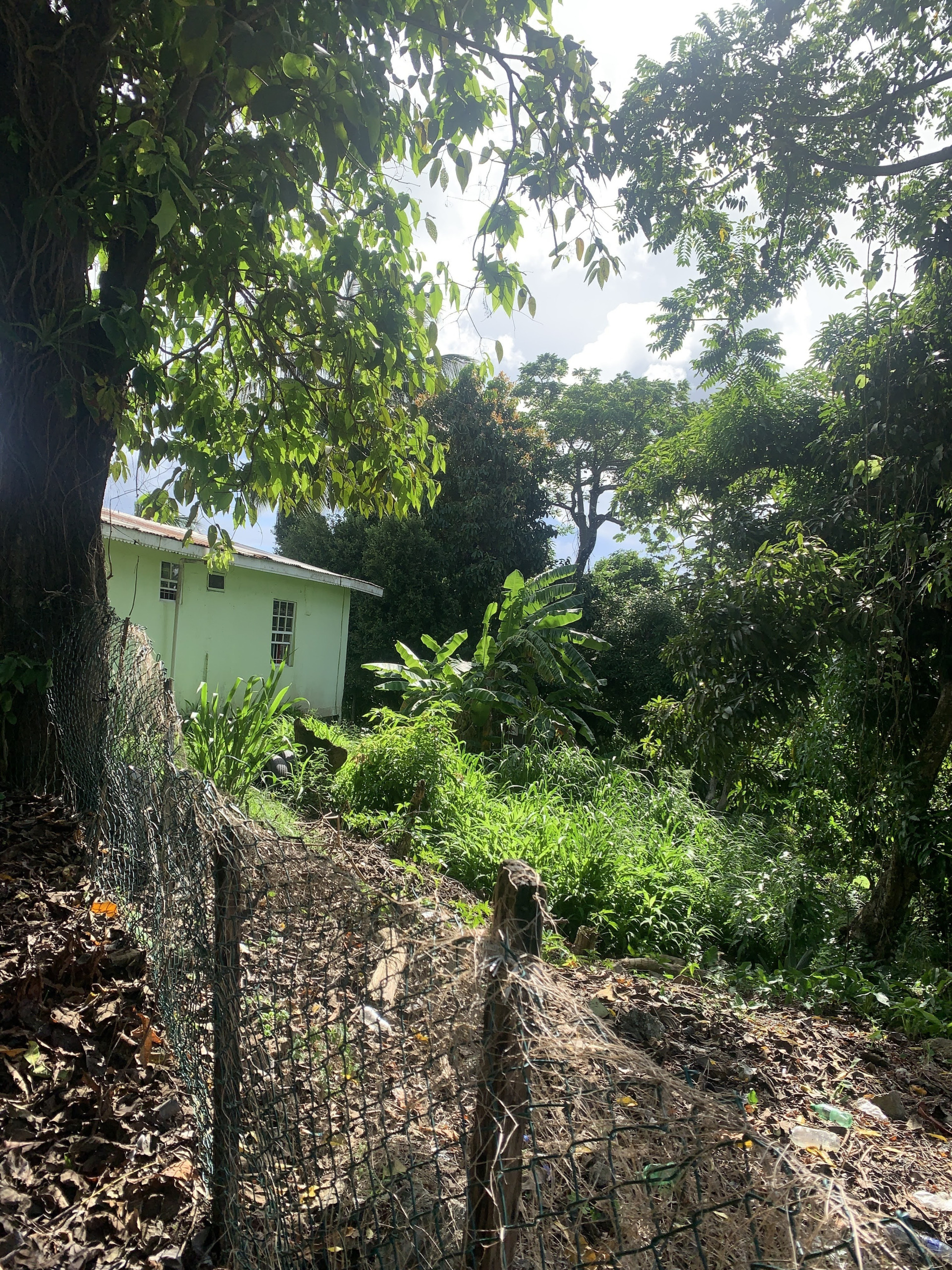 IMG_6490 Property For Sale In Bocage Castries