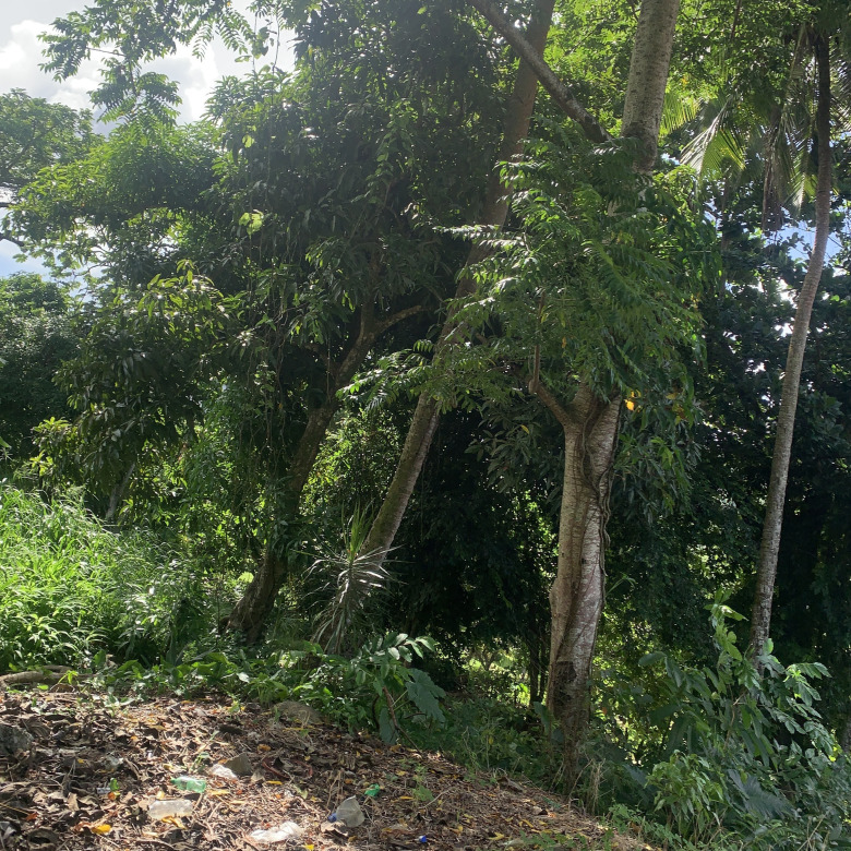 Property For Sale In Bocage Castries