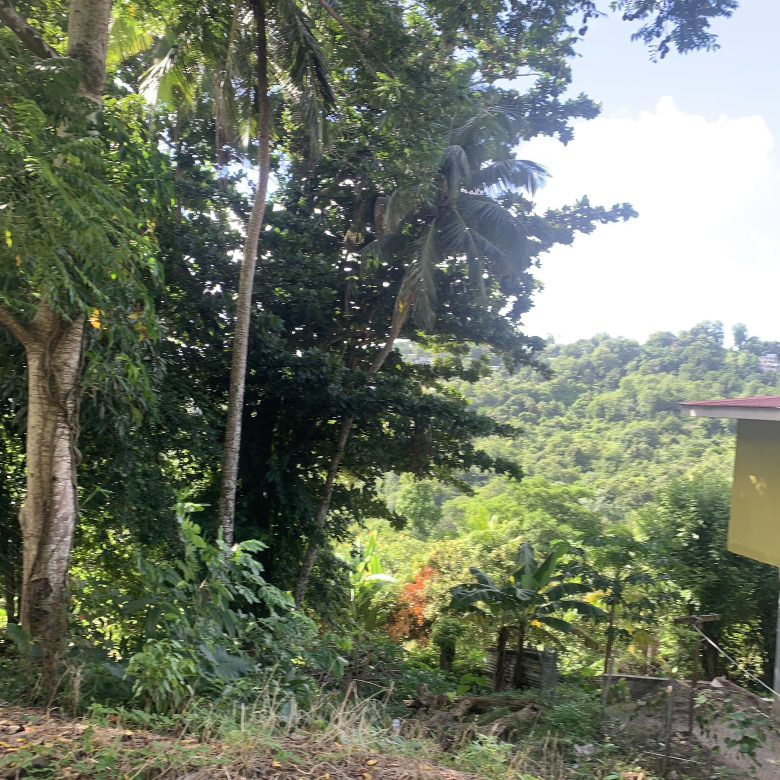 Property For Sale In Bocage Castries
