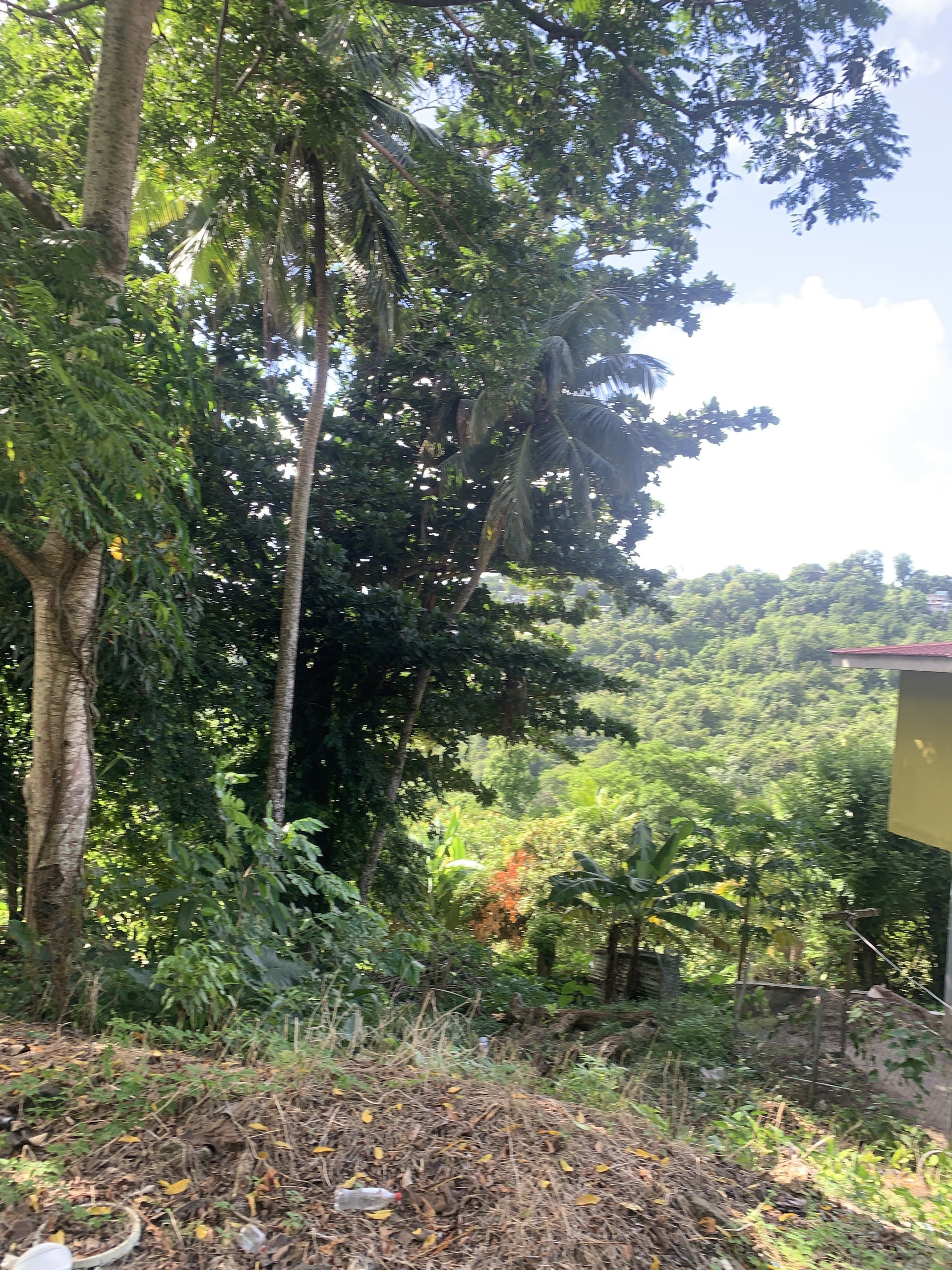 IMG_6494 Property For Sale In Bocage Castries