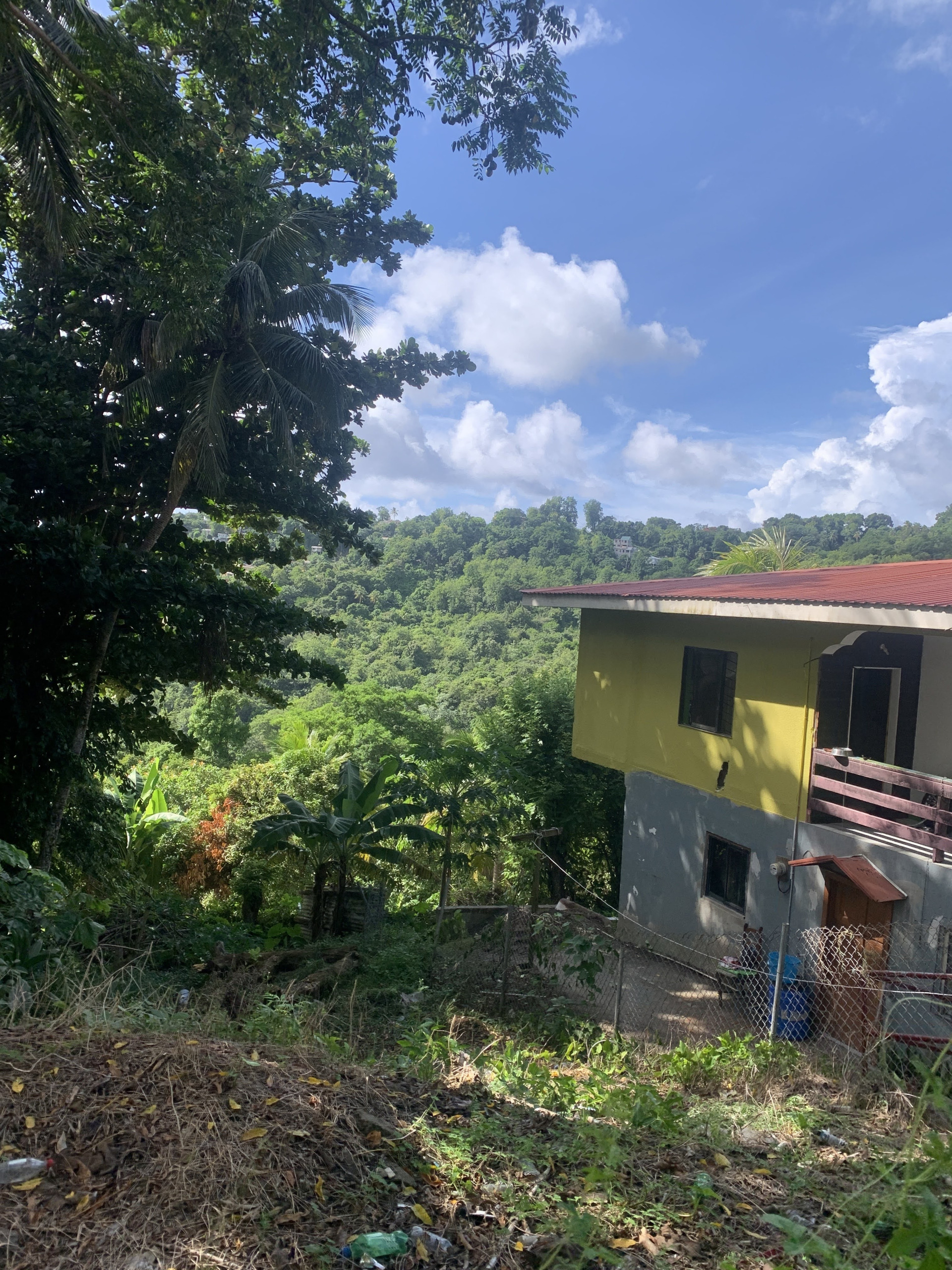 IMG_6497 Property For Sale In Bocage Castries