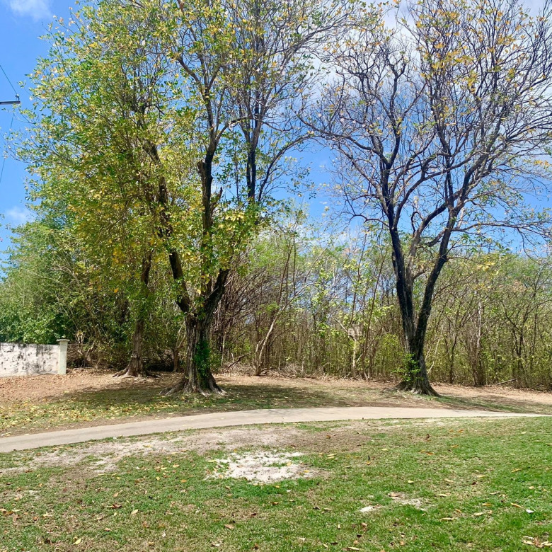 st lucia real estate Land For Sale In Cap Estate 27,000 SF trees