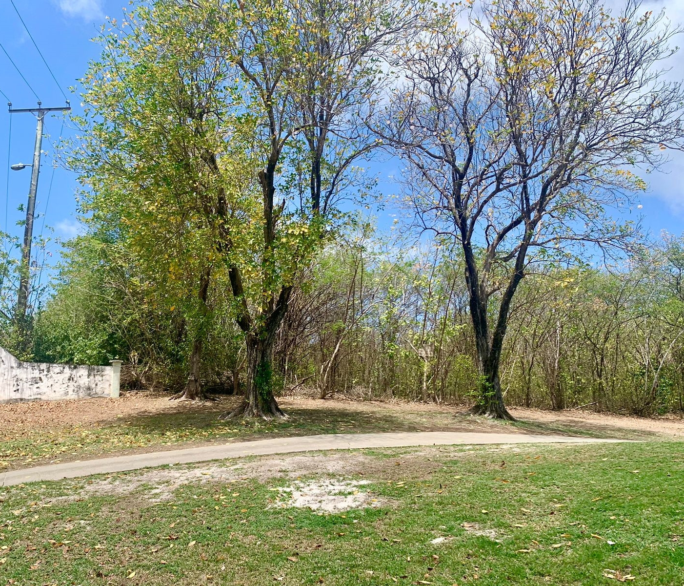 st lucia real estate Land For Sale In Cap Estate 27,000 SF trees
