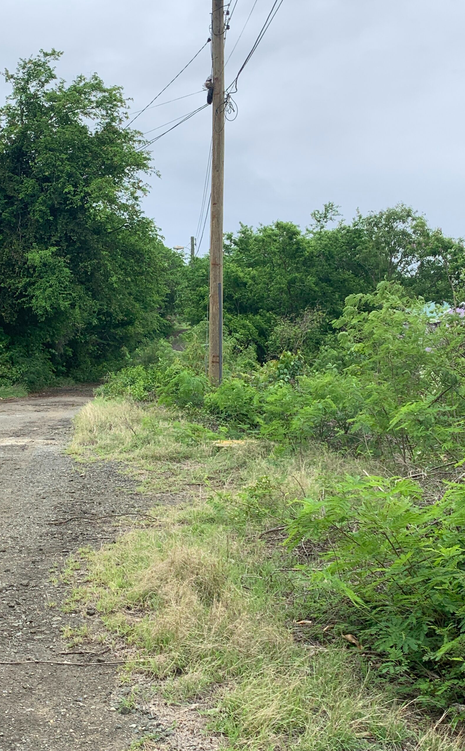st lucia real estate Lot For Sale In Cap Estate pole