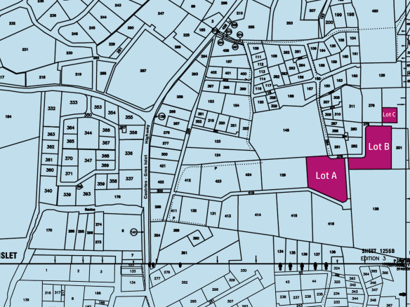 st lucia real estate 10 Acres Of Land For Sale In Belle Vue cap estate