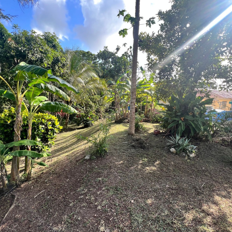 St Lucia Real estate Fixer-Upper Gem At Morne Fortune garden
