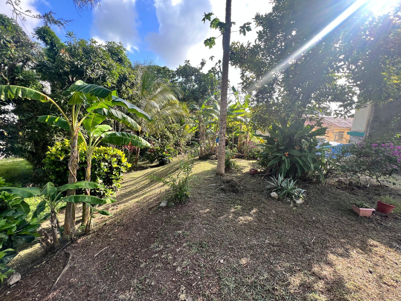 St Lucia Real estate Fixer-Upper Gem At Morne Fortune garden