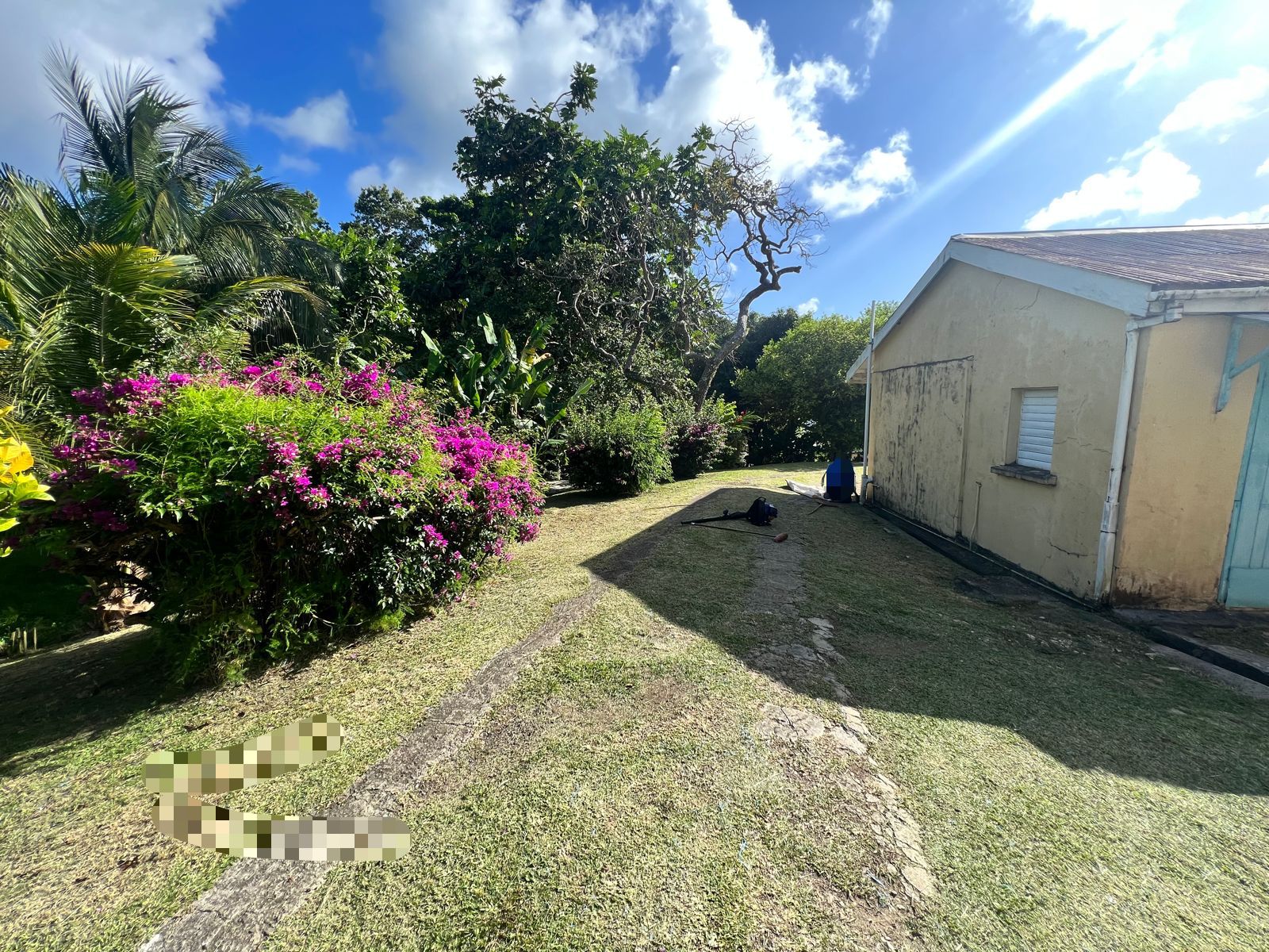 St Lucia Real estate Fixer-Upper Gem At Morne Fortune back yard