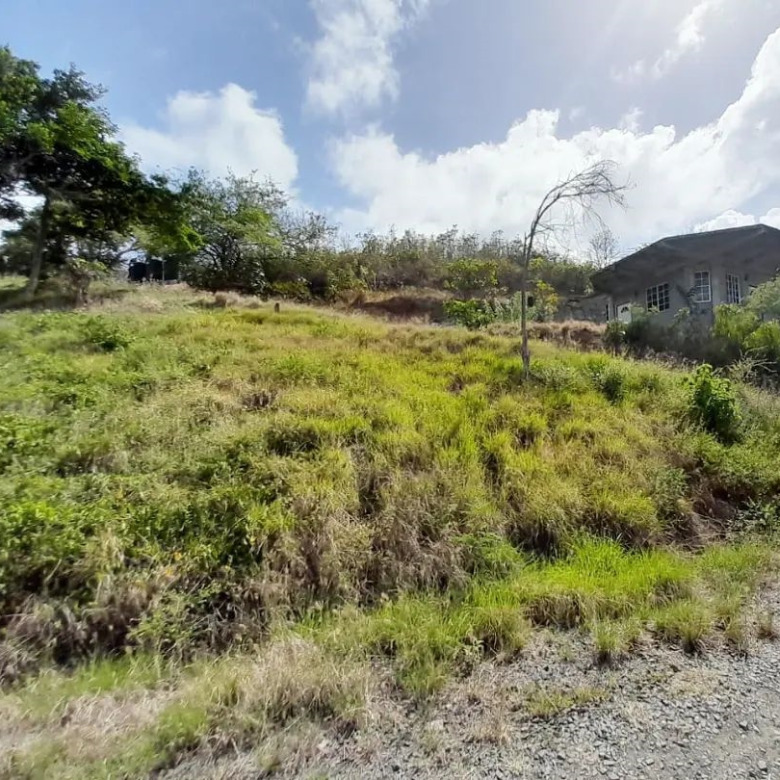 Land For Sale In Micoud