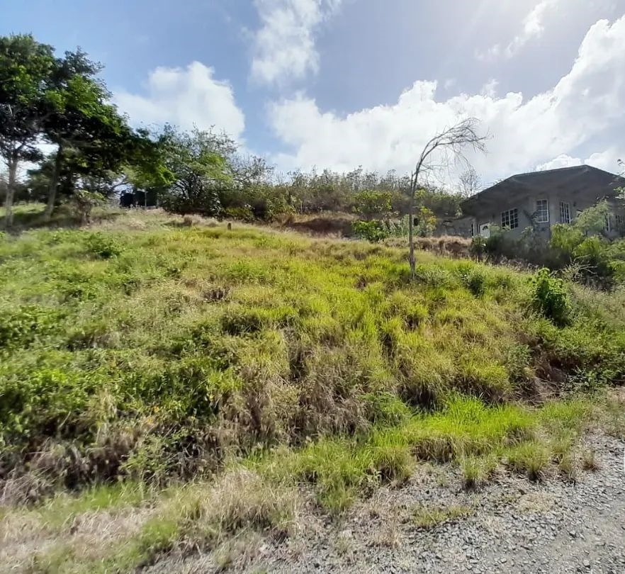 Land For Sale In Micoud tirocher st lucia