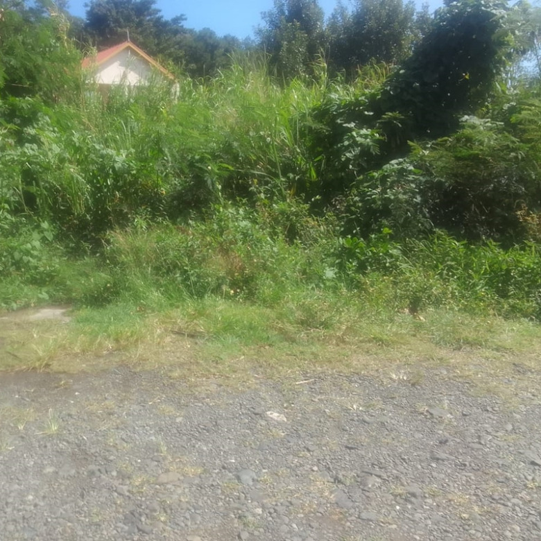 st lucia real estate land for sale in monchy gros islet tress parking