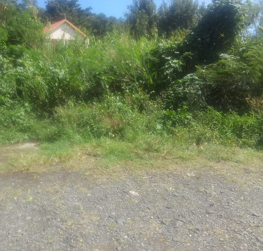 st lucia real estate land for sale in monchy gros islet tress parking