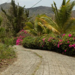 Land For Sale In Monchy Gros Islet st lucia