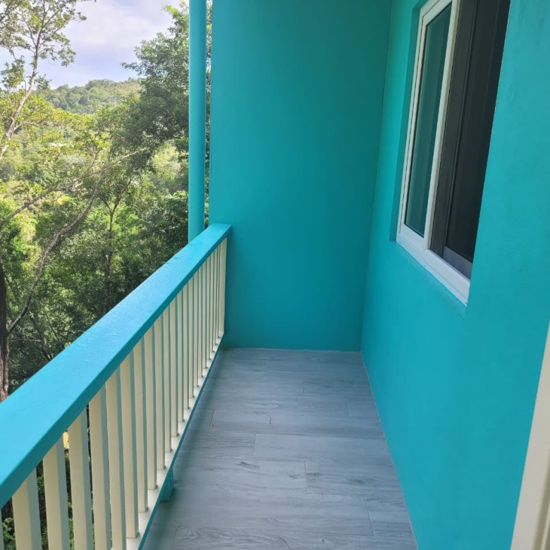 st lucia real estate House For Sale In Grand Riviere Gros Isle blacony