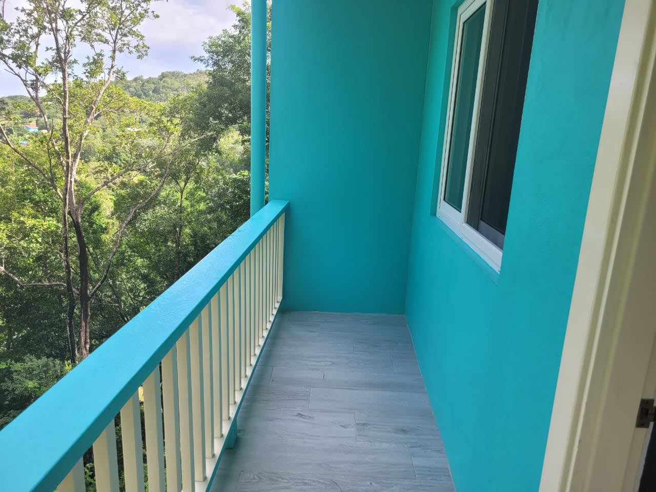 st lucia real estate House For Sale In Grand Riviere Gros Isle blacony
