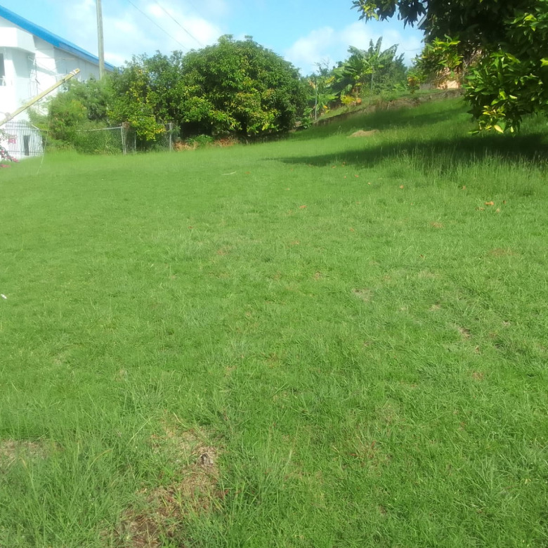 House For Sale in Rodney Bay St Lucia