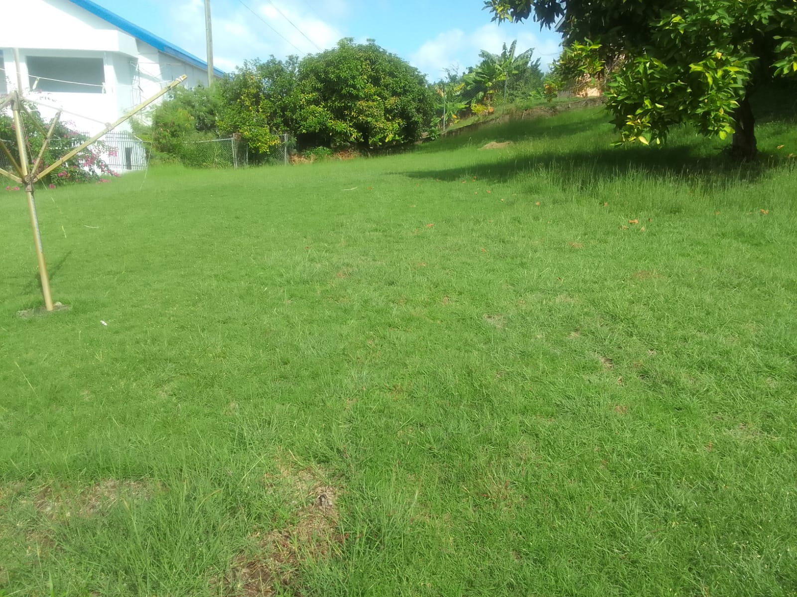 House For Sale in Rodney Bay St Lucia