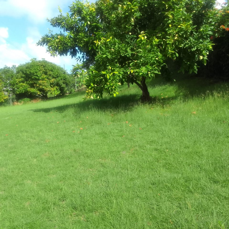 House For Sale in Rodney Bay St Lucia