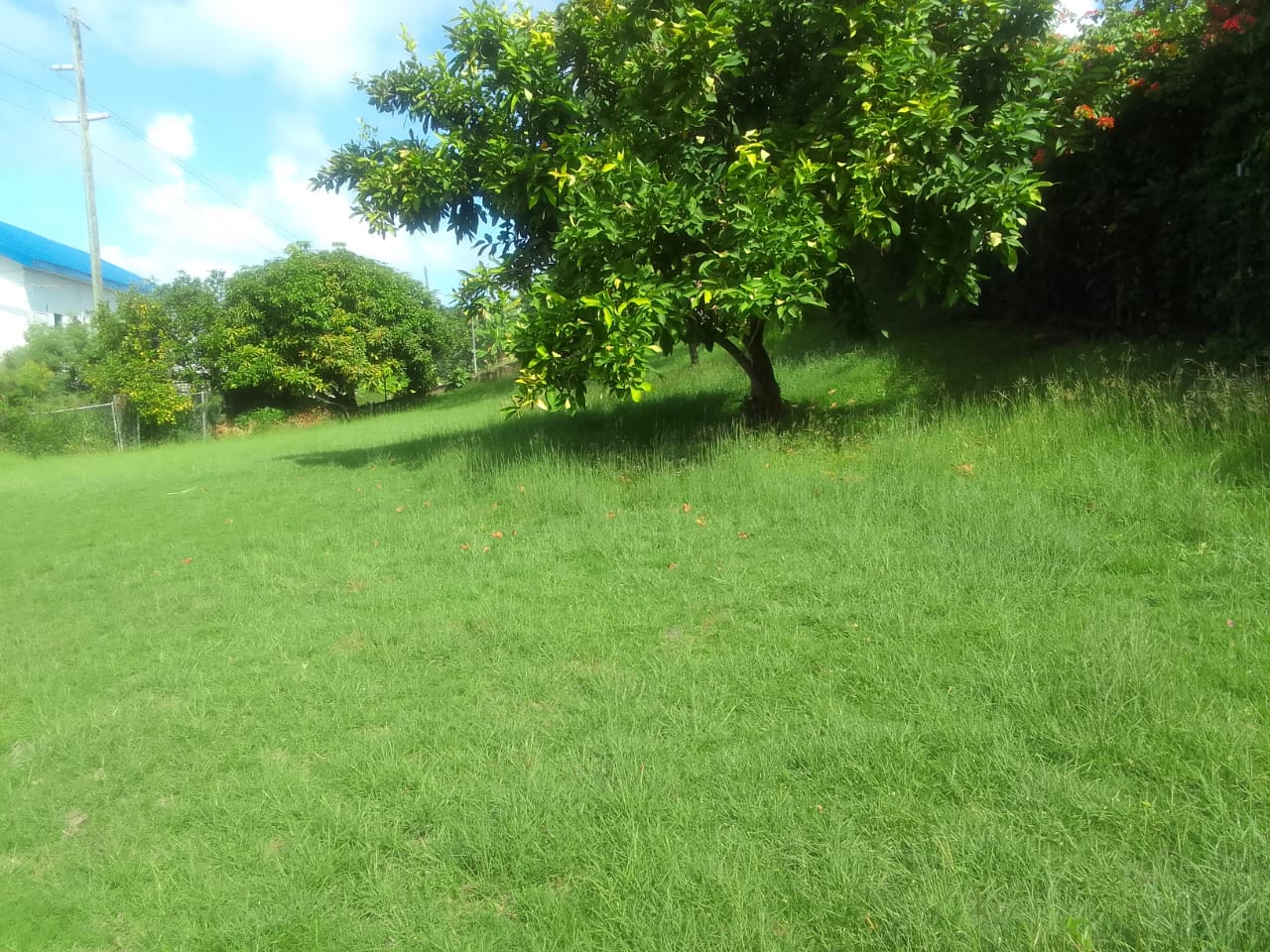 House For Sale in Rodney Bay St Lucia
