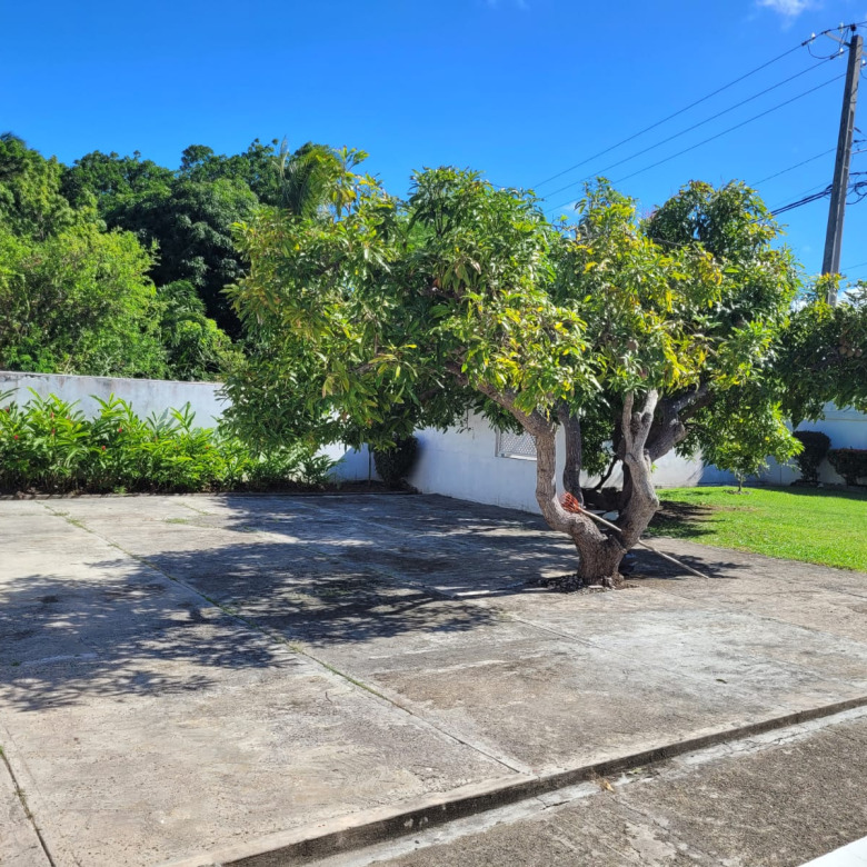 St Lucia real estate rental Fully Furnished 3 Bed House Bonneterre trees