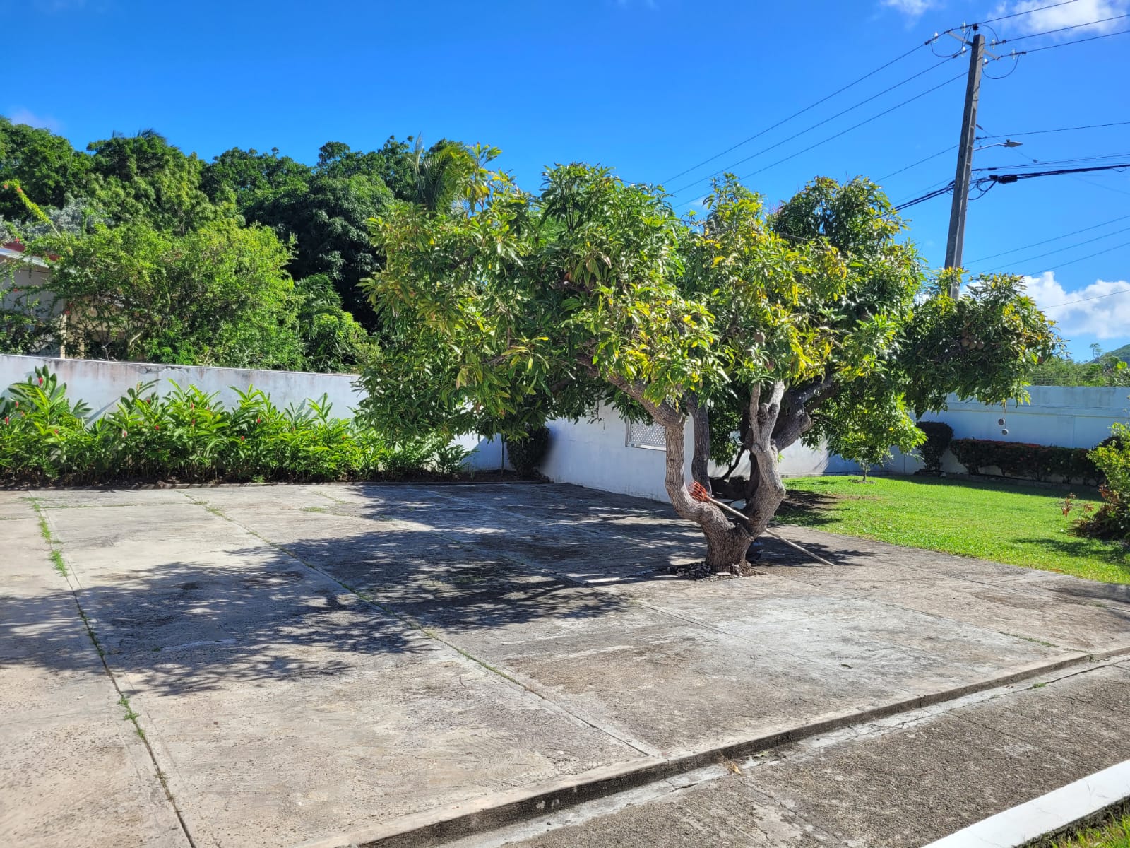 St Lucia real estate rental Fully Furnished 3 Bed House Bonneterre trees