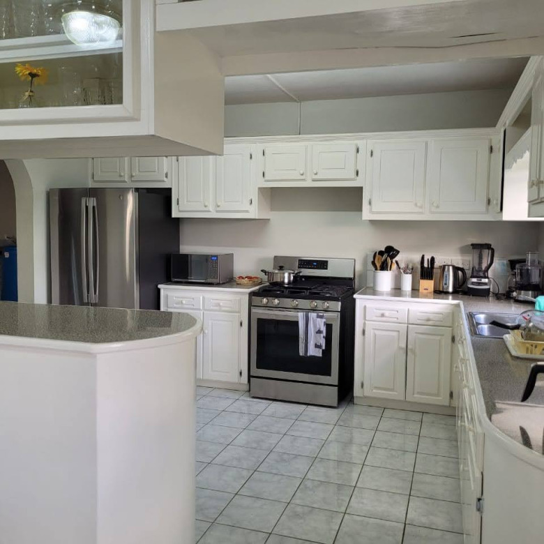 st lucia real estate House For Sale In Grand Riviere Gros Isle
