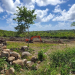 land for sale in dugard micoud st lucia