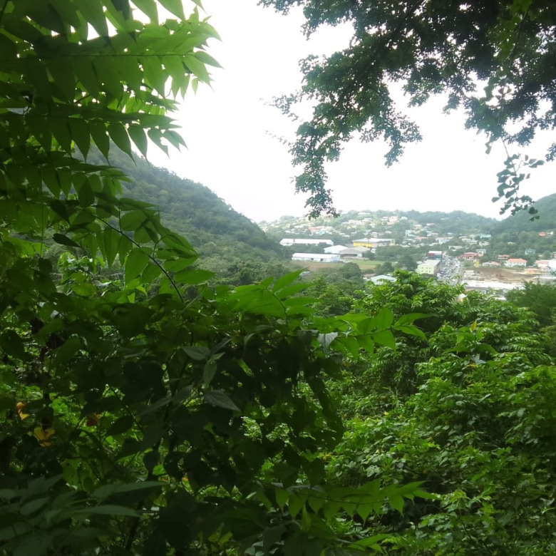 st lucia real estate: Land For Sale In Bois D’Orange 22,000 SF view